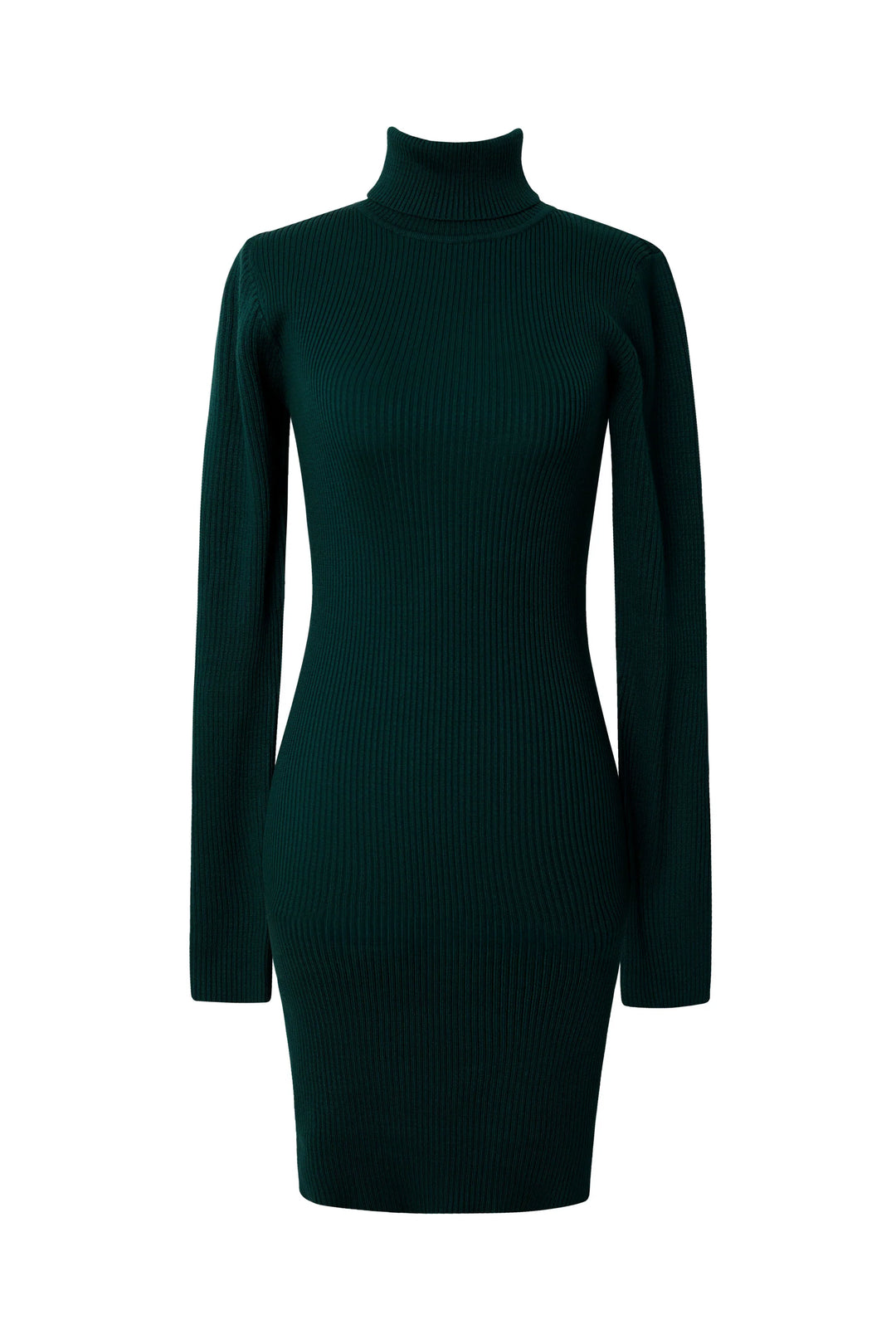 Ezara | Verona Luxe Turtleneck Mini Dress